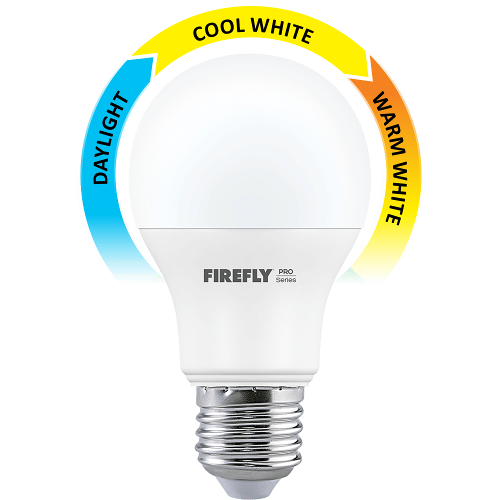 Firefly rechargeable bulb store