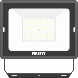 Firefly Basic Terra LED Floodlight 100W DL