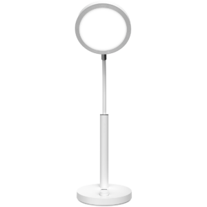 Dimmable Desk Lamp with Flexible Neck