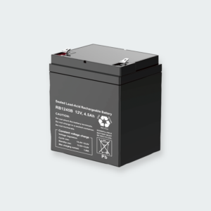 12V 4.5Ah Lead Acid Battery (with gift b