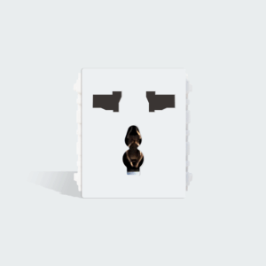 ROYU WD Universal Outlet w/ Ground