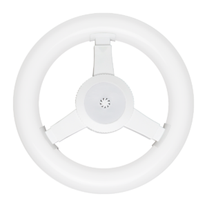 Ecolum LED Circular Lamp 12W E27