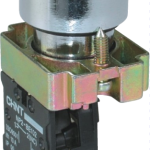 CHINT Non-Illuminated PB, 220V 1NO+1NC